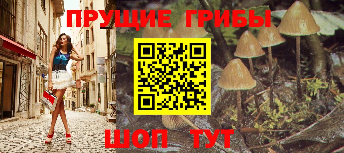 Псилоцибиновые грибы Cubensis Владивосток