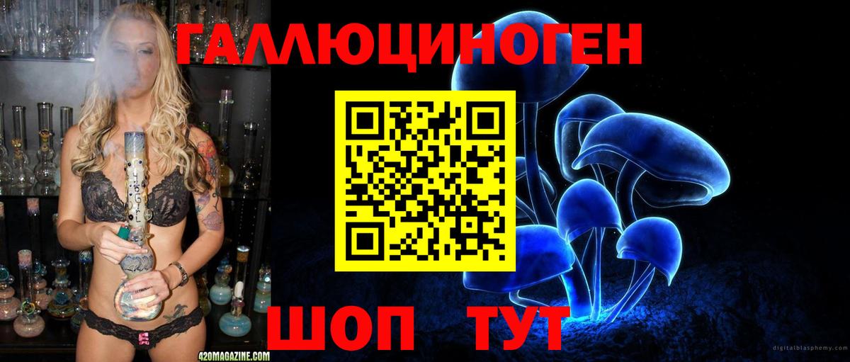 Владивосток  наркота  Галлюциногенные грибы Cubensis  Вход с VPN  Галлюциногенные грибы мицелий 